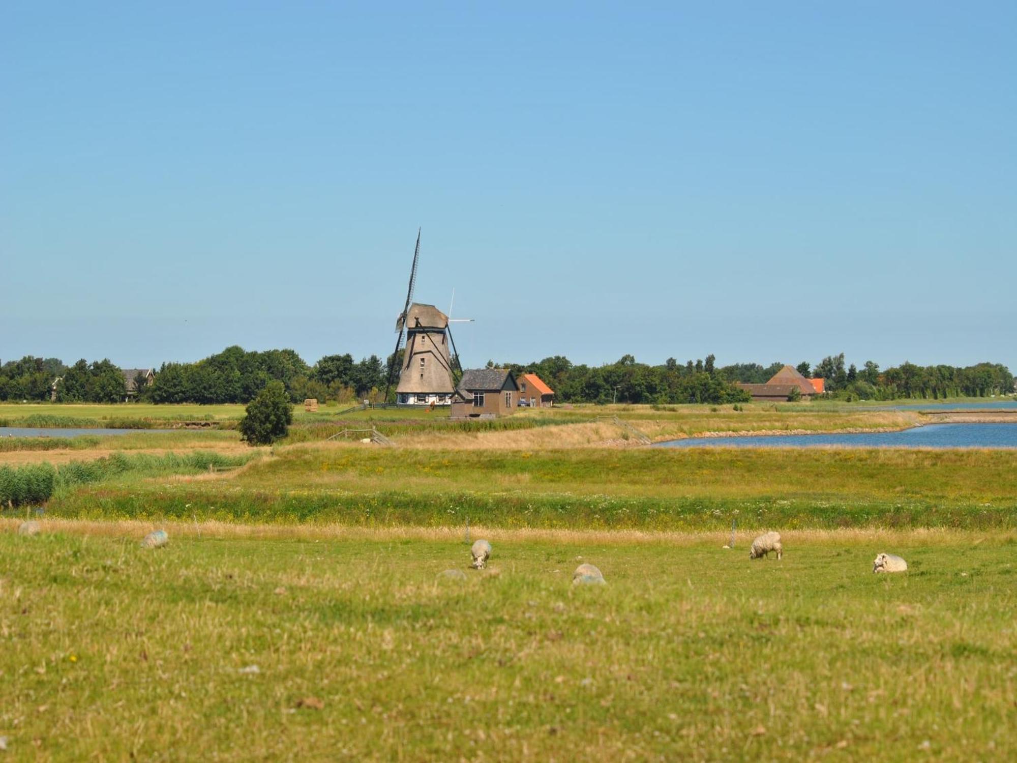 Lovely Holiday Home In Texel Near Sea Oost  外观 照片