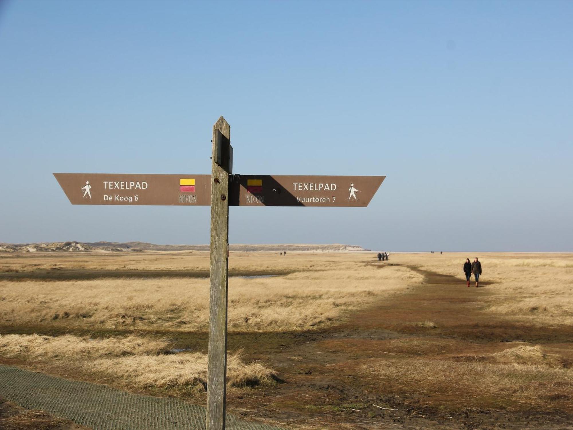 Lovely Holiday Home In Texel Near Sea Oost  外观 照片