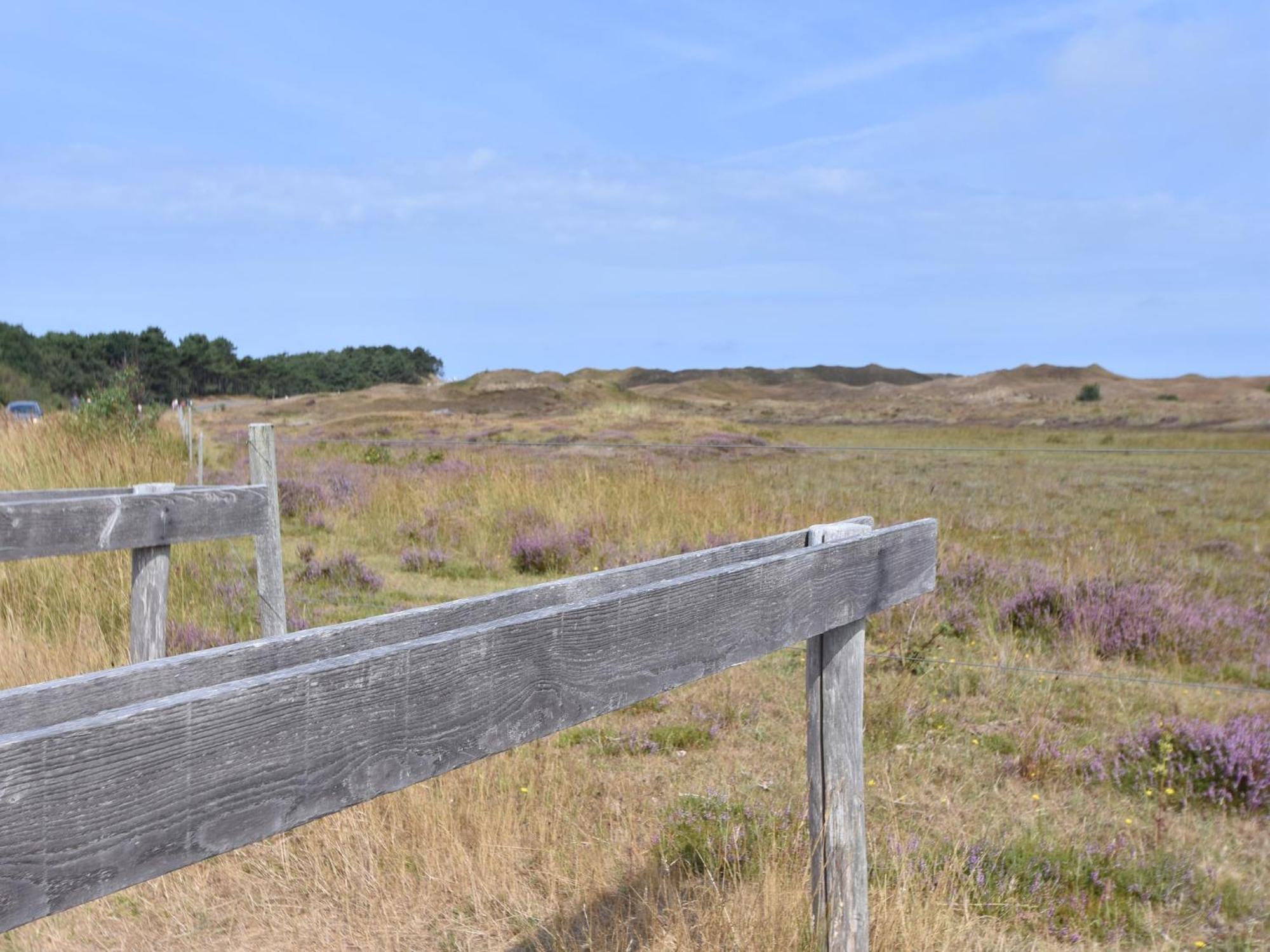 Lovely Holiday Home In Texel Near Sea Oost  外观 照片