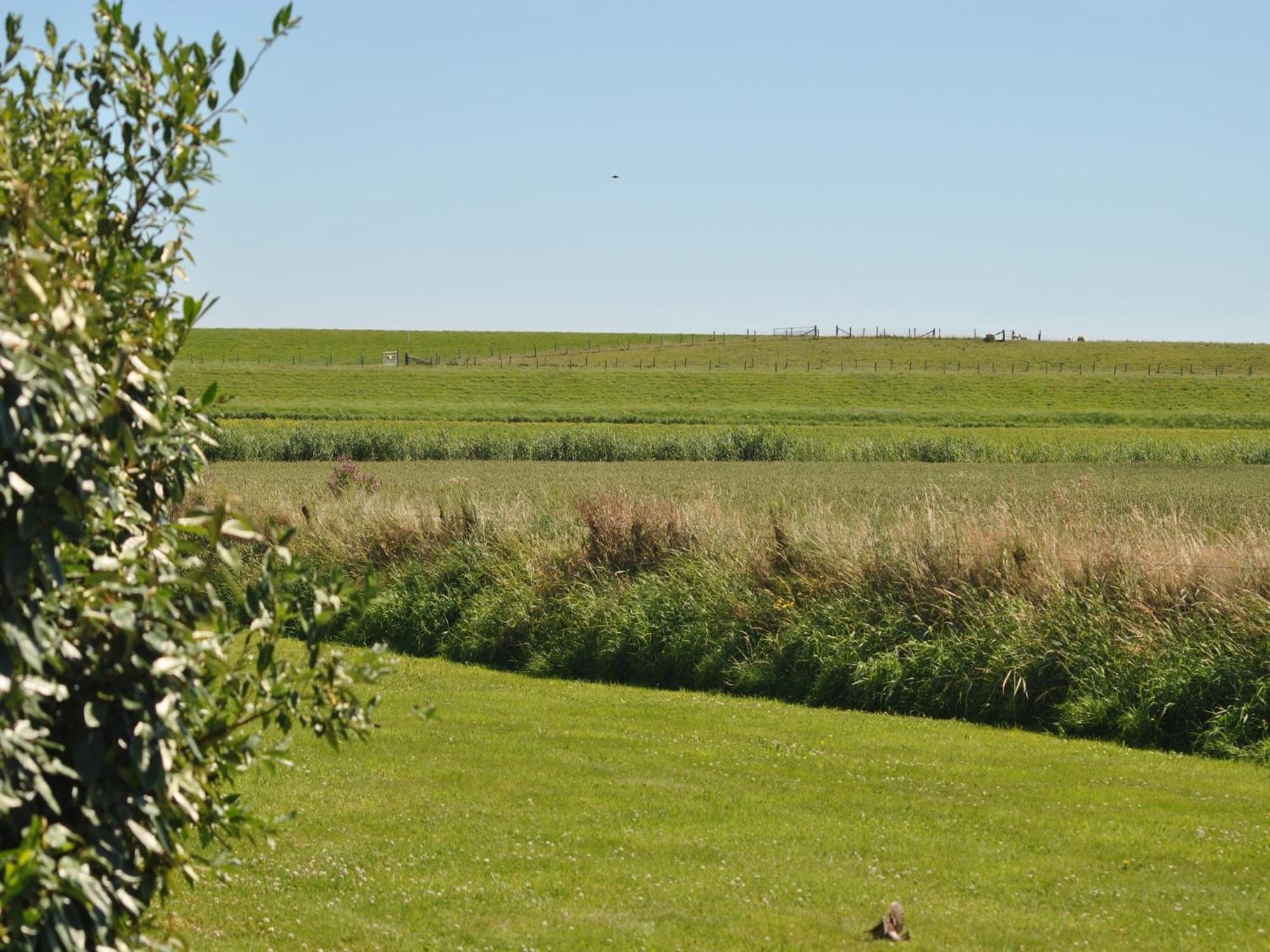 Lovely Holiday Home In Texel Near Sea Oost  外观 照片